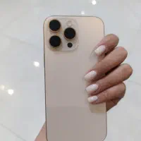 16پرومکس
