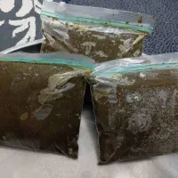 سبزی خورشتی رامهرمز