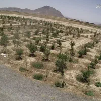 باغ3750متری-اب-وبرق-سنددارمعاوضه-بامغازه-وآپارتمان