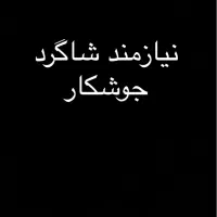 نیازمند شاگرد جوشکار و رابیتس کار