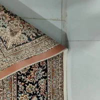 فرش ماشینی 12متری 700شانه در حد نو|فرش|کرمانشاه, |دیوار