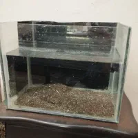 اکواریوم با لوازم