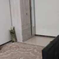 ۸۷متراپارتمان۲خواب عرصه وام تسویه شهرک برندمهستان۱|فروش آپارتمان|هشتگرد, شهرک مهستان ۱|دیوار