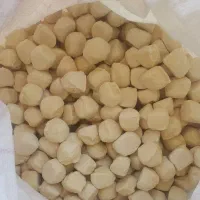 لبنیات گوسفندی درجه ۱