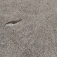 پالاز موکت