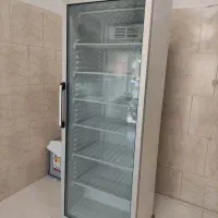 فریزایستاده