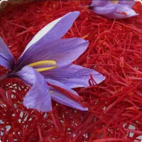 زعفران سرگل یک گرمی