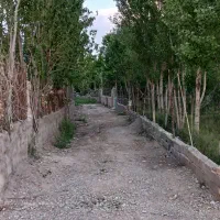 باغچه نقلی