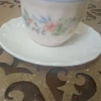 فروش ظروف آرکوپال ویکتوریا