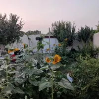 اجاره باغچه روزانه هفته ای