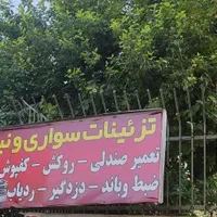 تزیینات سواری و نیسان|قطعات یدکی و لوازم جانبی|شیراز, نصر|دیوار