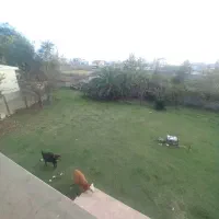 ۱۰۷۵زمین با ۳۱۲متر بنا جاده اصلی ماسوله سندتک برگ|فروش خانه و ویلا|ماکلوان, |دیوار