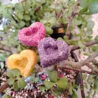 قند ونبات خاص مخصوص خاص پسندا|خوردنی و آشامیدنی|بردسیر, |دیوار