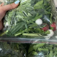 سبزی خوردن پاک شده و خورشی بسته بندی با کیفیت