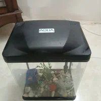 اکواریوم