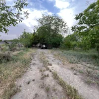 باغ-مناسب-برای-شهرک-سازی-و-سرمایه-گذاری