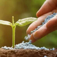 عرضه کودهای گیاهی منحصر به فرد