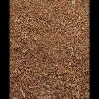 گندم کمباین زده