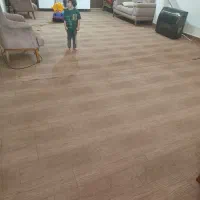 موکت|موکت|مشگین شهر, |دیوار