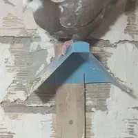 کبوتر در خرمشهر|پرنده|خرمشهر, |دیوار