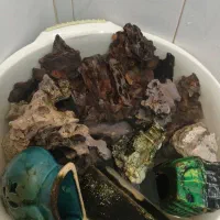 سنگ ومرجان و..