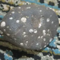 سنگ|کلکسیون اشیاء عتیقه|گنبد کاووس, |دیوار