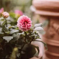 مسافر از زابل به ایرانشهر میرم درخدمت هستم