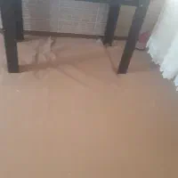 موکت ۲۴متر