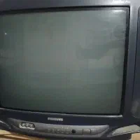 تلویزیون