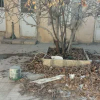 اجاره-ویلایی-واوان