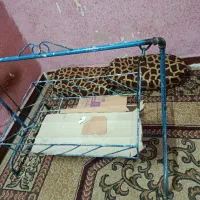 گهواره نوزاد|اسباب و اثاث بچه|اهواز, فدک|دیوار