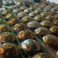هنگدرام دست ساز خرید از تولید کننده