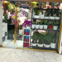 16-متر-فروشی