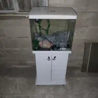 آکواریوم شرکتی با پایه