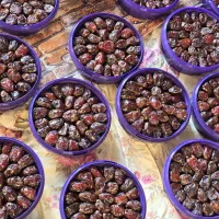 خرما کبکاب تازه