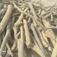 فروش چوب کهور پاکستانی(مراتع بندرعباس)