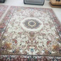 فرش ۱۲متری|فرش|ساری, |دیوار
