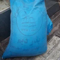 گندم بذری ۱۰۰ کیلو