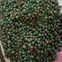 بن تازه|حراج|مسجد سلیمان, |دیوار