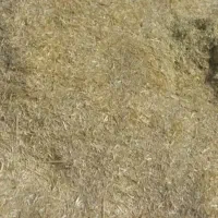 کاه