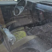 فروش وانت پیکان|خودرو سواری و وانت|بیرجند, |دیوار