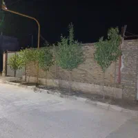 ویلاشهر/۵۲۰متر زمین دور دیوار/آماده ساخت|فروش زمین و ملک کلنگی|مشهد, ویلاشهر|دیوار
