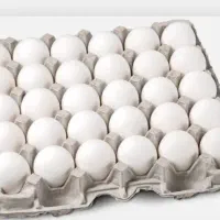 پخش تخم مرغ خلیلی