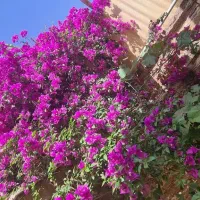 رهن منزل ویلایی 2 طبقه حیاط دار