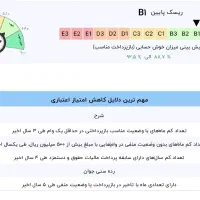 ضامن وام مهربانی و اعتبار ملی موجود
