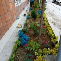 کلیه خدمات باغبانی در تهران و حومه