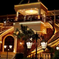 آشپز فرنگی ماهر