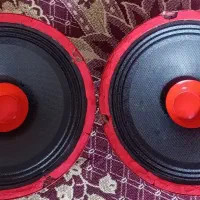 میدرنج سایزه 6