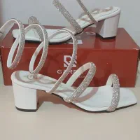 کیف و کفش مجلسی نویه نو با جعبه|کیف، کفش، کمربند|رشت, هلال احمر|دیوار