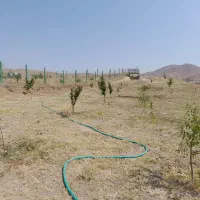 باغ جاده ورزقان|فروش دفتر صنعتی، کشاورزی، تجاری|خواجه, |دیوار